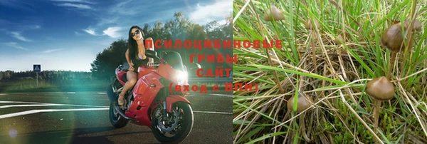 соль ск Покачи