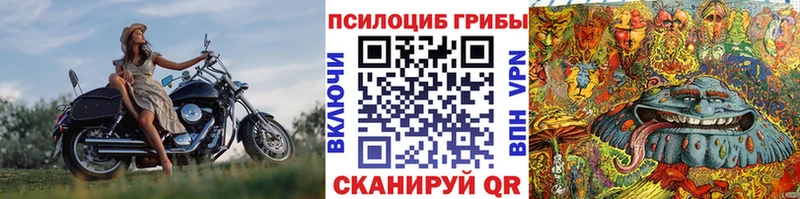 Галлюциногенные грибы Cubensis  Купить закладки  Южно-Сухокумск 